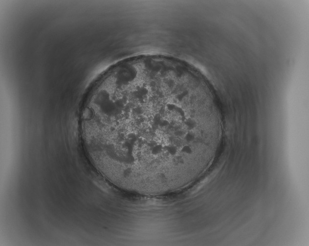 X0000110761263200906291021