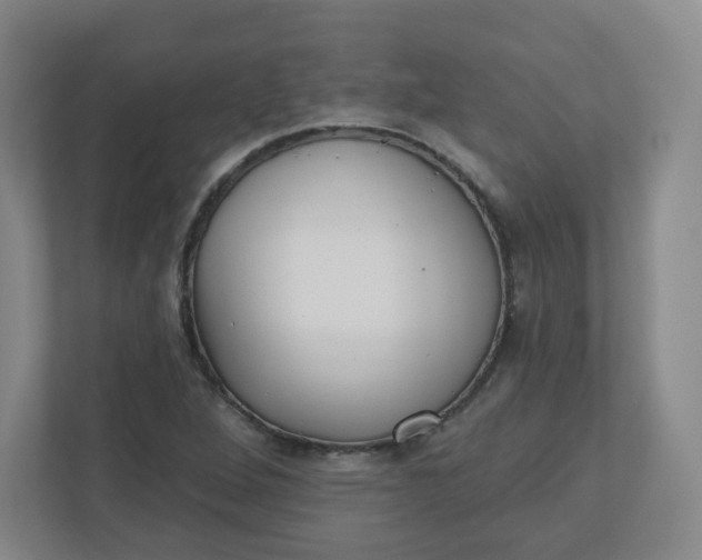 X0000110761264200906291021