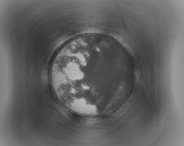 X0000110761266200906291021