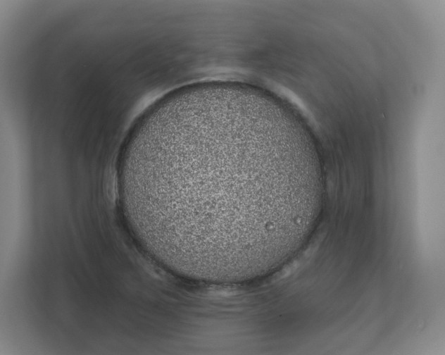 X0000110761267200906291021