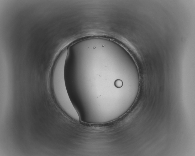 X0000110761269200906291021