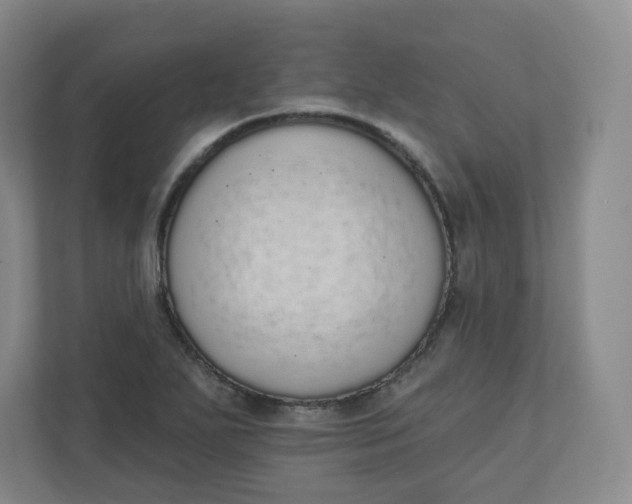 X0000110761271200906291021