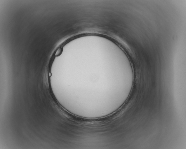 X0000110761272200906291021