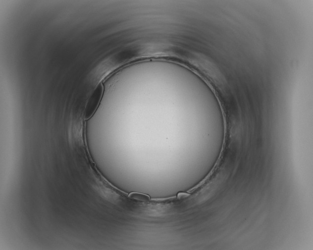 X0000110761273200906291021