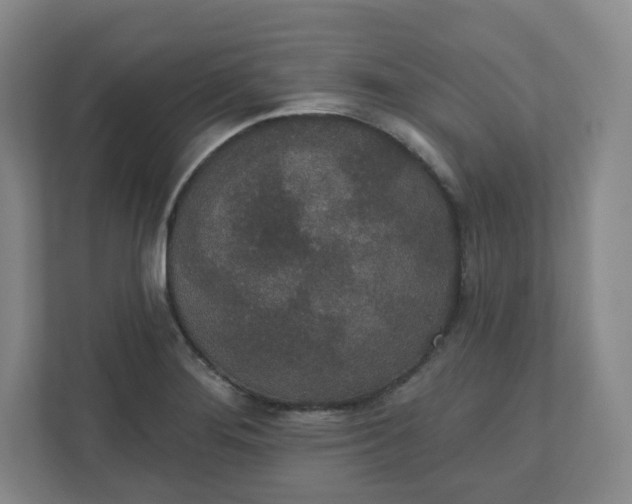 X0000110761276200906291021