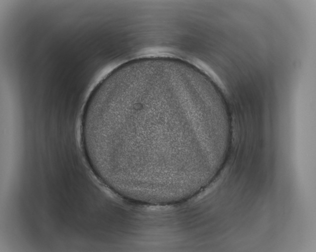 X0000110761277200906291021