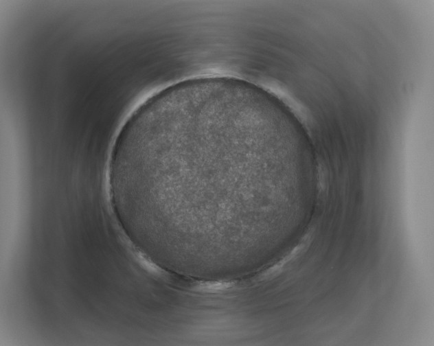 X0000110761278200906291021