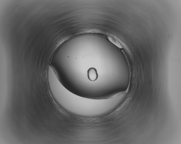 X0000110761281200906291021