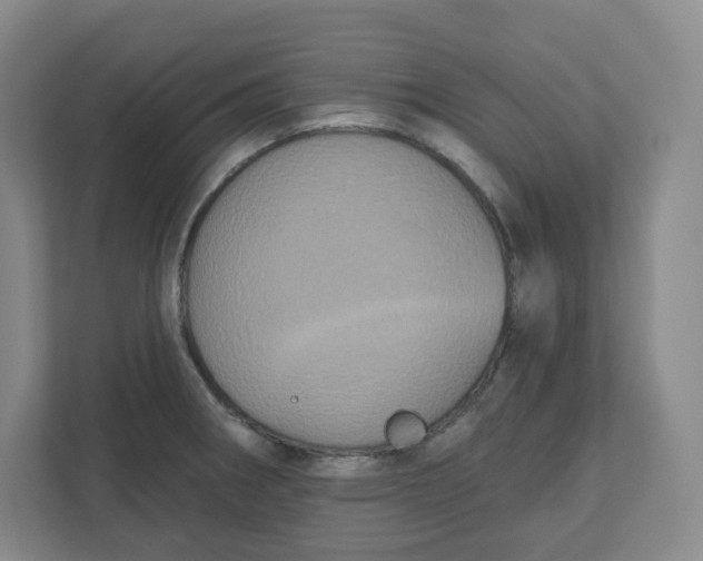 X0000110761282200906291021