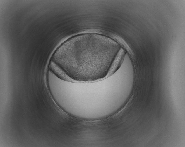 X0000110761284200906291021