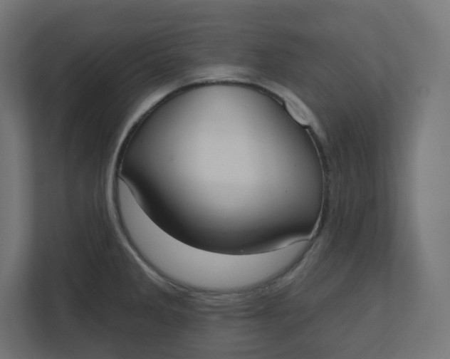 X0000110761285200906291021
