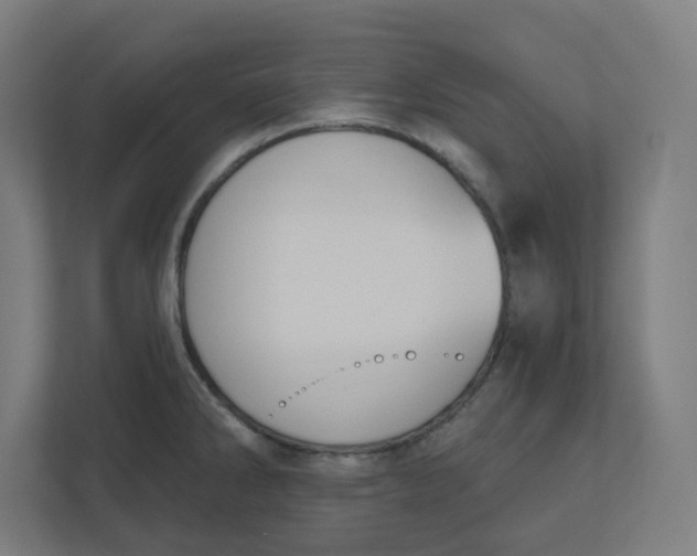 X0000110761286200906291021