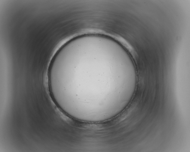 X0000110761287200906291021