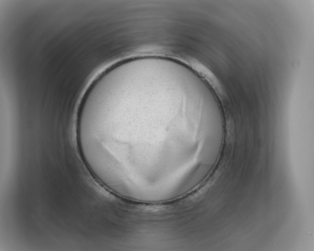 X0000110761288200906291021