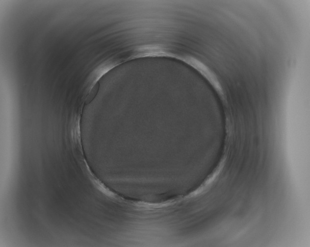 X0000110761289200906291021