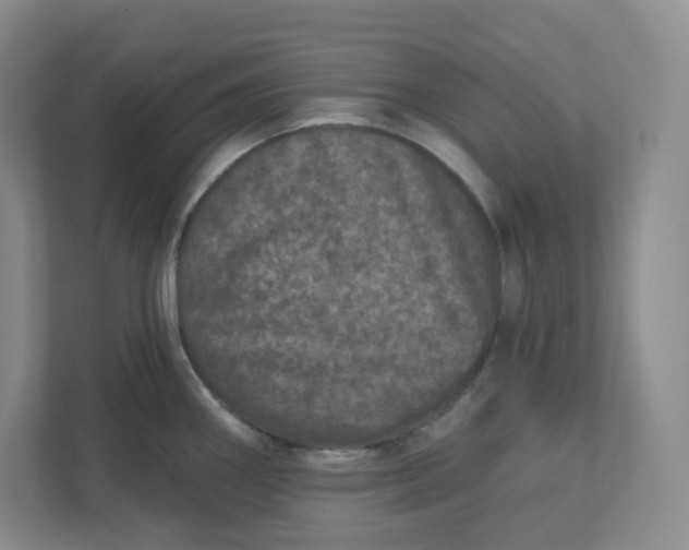 X0000110761290200906291020