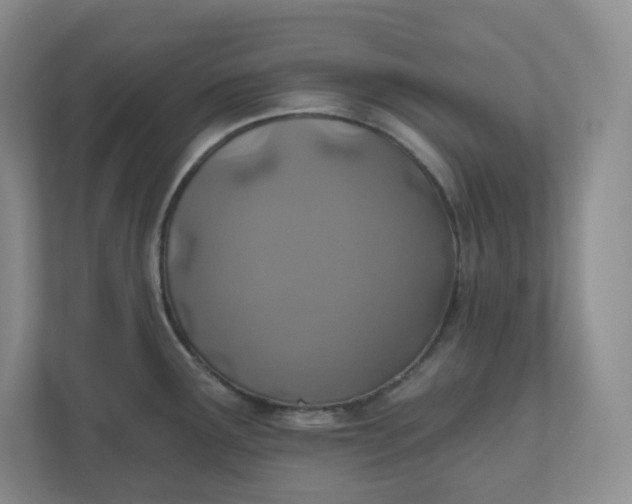 X0000110761291200906291020