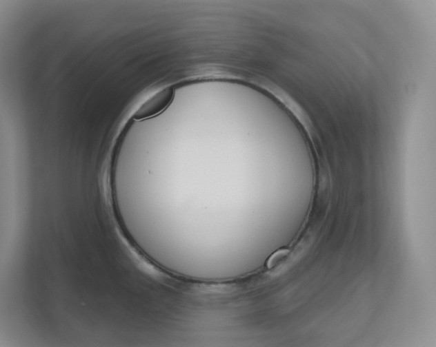 X0000110761293200906291020