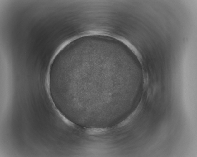 X0000110761294200906291020