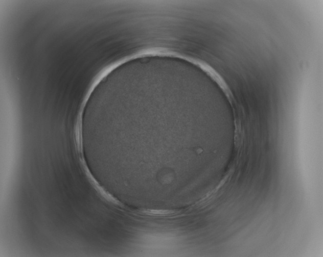 X0000110761295200906291020