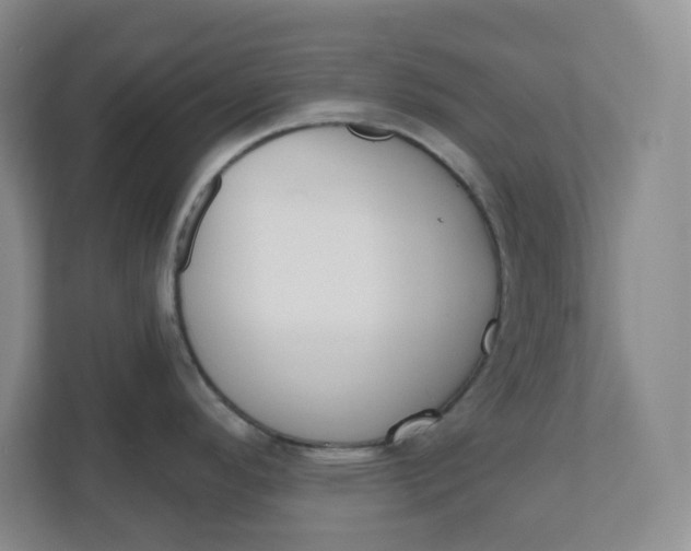 X0000110761296200906291020