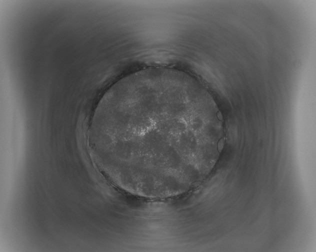 X0000110761297200906291020
