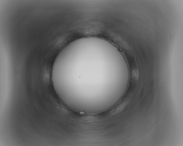 X0000110761300200906291020