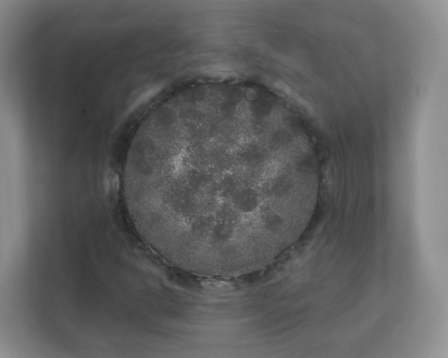 X0000110761302200906291020