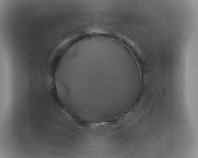 X0000110761303200906291020