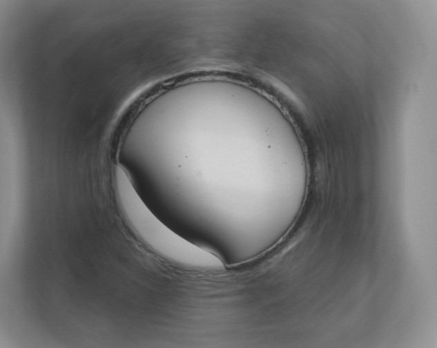 X0000110761310200906291020