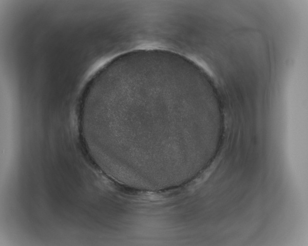 X0000110761311200906291020
