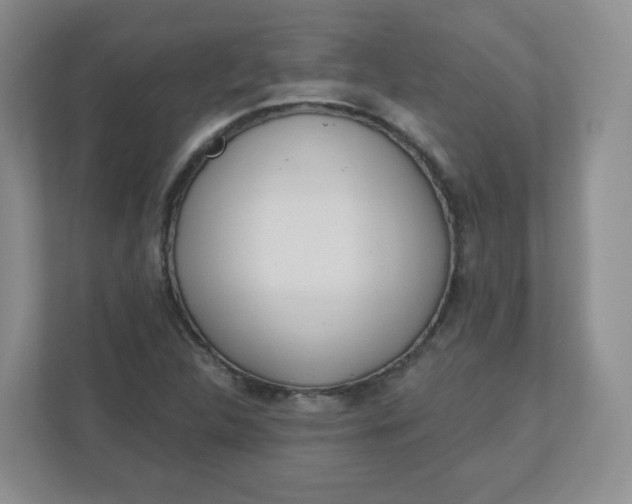 X0000110761312200906291020