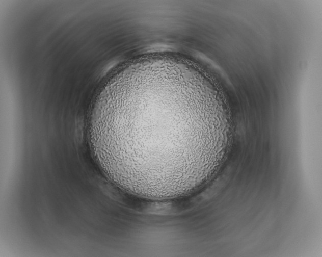 X0000110761313200906291020