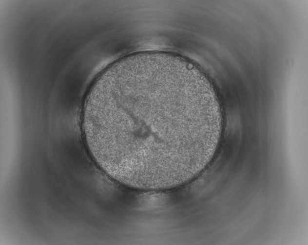 X0000110761314200906291020