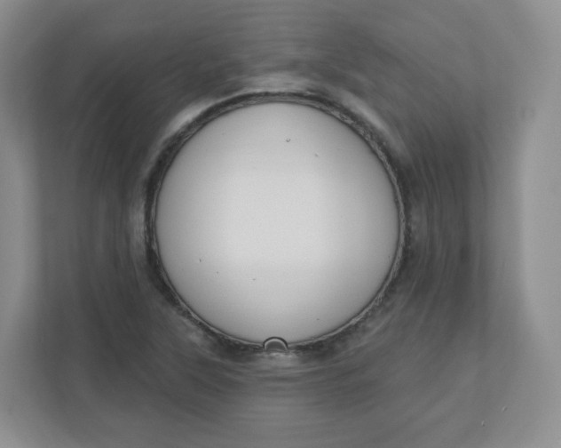 X0000110761315200906291020