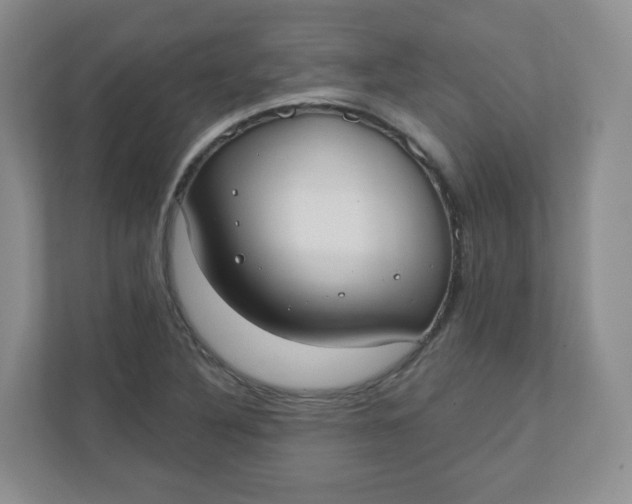 X0000110761316200906291020