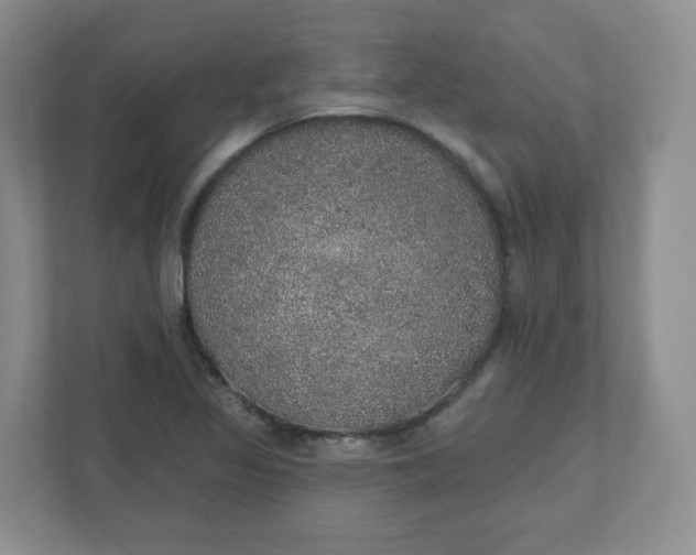X0000110761317200906291020