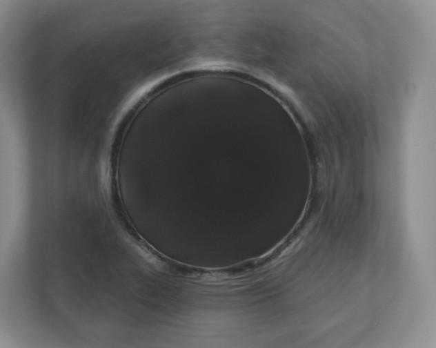 X0000110761319200906291020