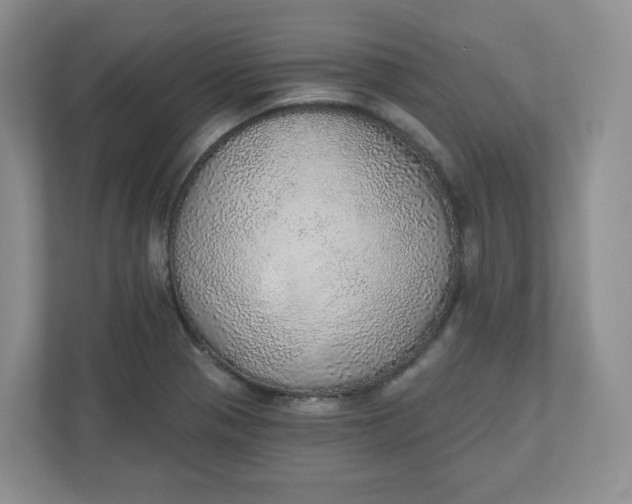 X0000110761321200906291020