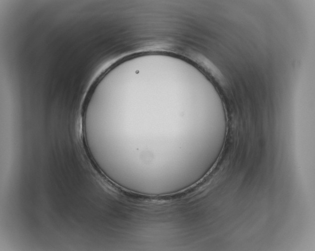 X0000110761324200906291020