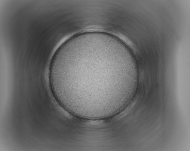 X0000110761325200906291020
