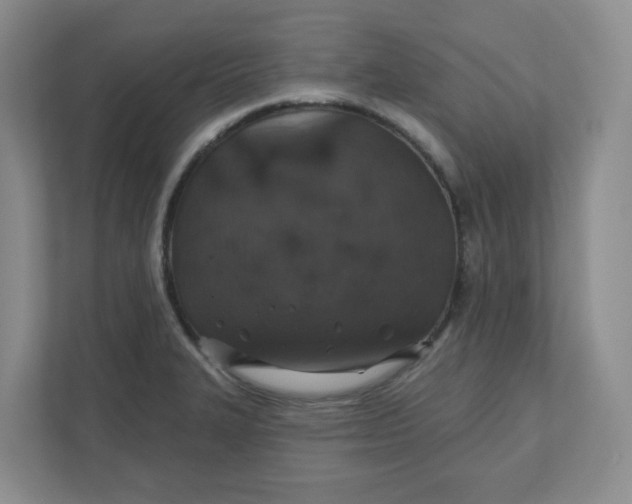 X0000110761327200906291020