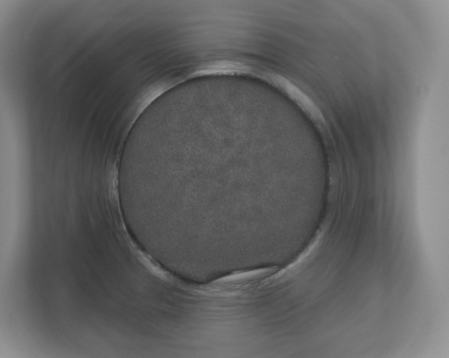 X0000110761329200906291020