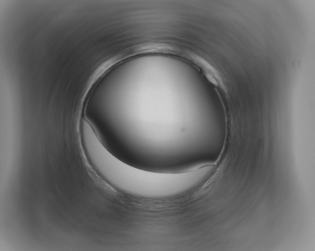 X0000110761330200906291020
