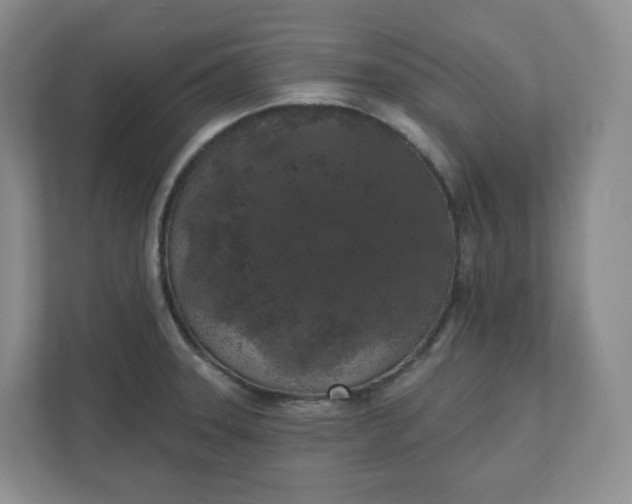 X0000110761331200906291020