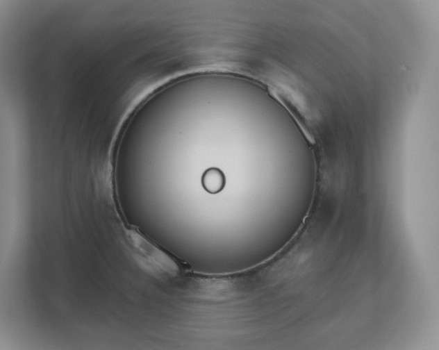 X0000110761332200906291020