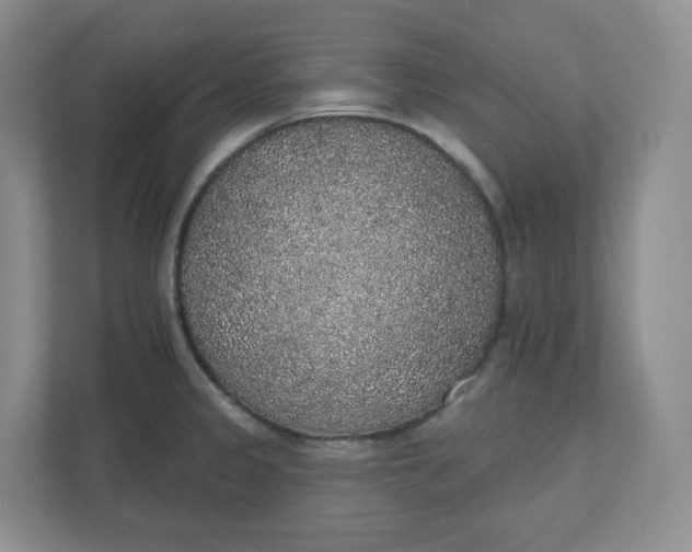 X0000110761333200906291020