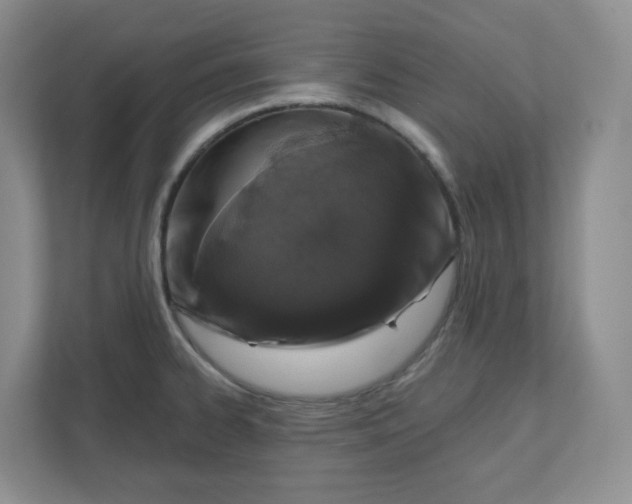 X0000110761334200906291020