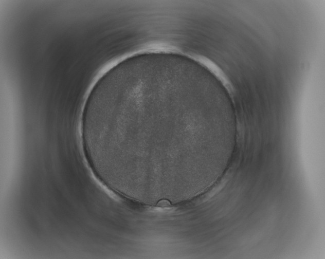 X0000110761335200906291020