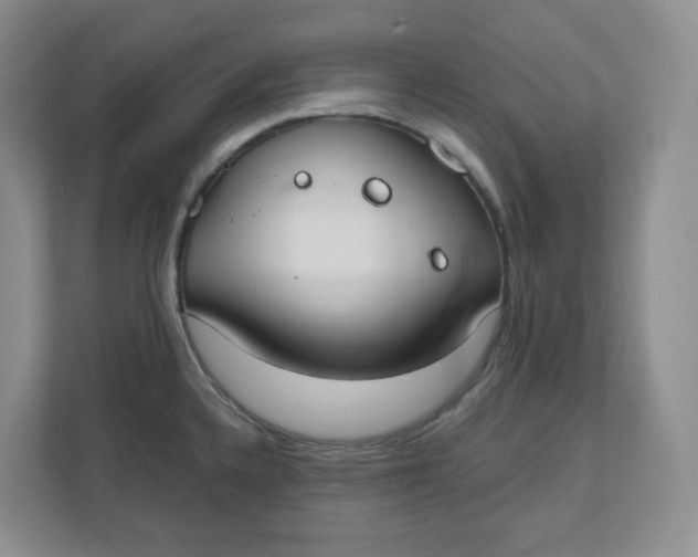 X0000110761336200906291020